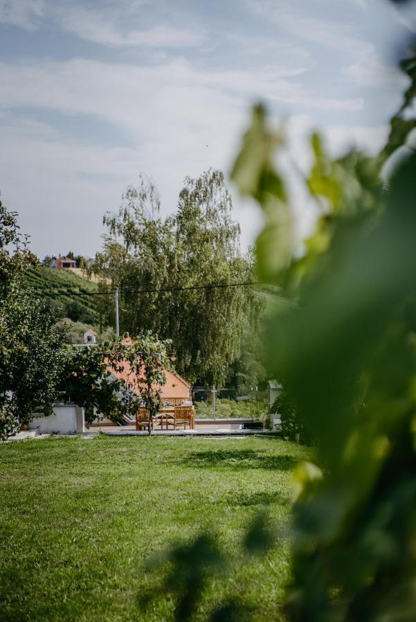 Wein Cottage Kellerstoeckl Eisenberg an der Pinka Luaran gambar